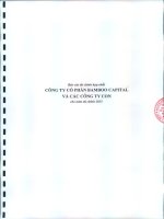Báo cáo tài chính hợp nhất năm 2015 (đã kiểm toán) - Công ty cổ phần Bamboo Capital