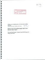 Báo cáo tài chính quý 2 năm 2010 (đã kiểm toán) - Công ty Cổ phần Đầu tư Xây dựng Bình Chánh