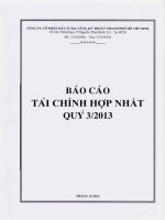 Báo cáo tài chính hợp nhất quý 3 năm 2013 - Công ty cổ phần Đầu tư Hạ tầng Kỹ thuật T.P Hồ Chí Minh