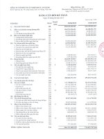 Báo cáo tài chính quý 2 năm 2015 - Công ty cổ phần Xuất nhập khẩu An Giang