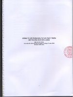 Báo cáo tài chính năm 2009 (đã kiểm toán) - Công ty cổ phần Đầu tư và Phát triển Đô thị Dầu khí Cửu Long