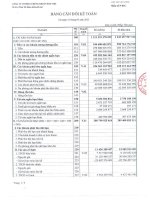 Báo cáo tài chính quý 1 năm 2013 - Công ty Cổ phần Chứng khoán Bảo Việt