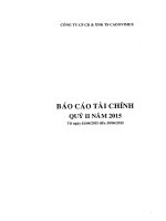 Báo cáo tài chính quý 2 năm 2015 - Công ty Cổ phần Chế biến và Xuất nhập khẩu Thủy sản CADOVIMEX