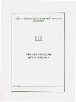 Báo cáo tài chính quý 4 năm 2010 - Công ty Cổ phần Chế biến và Xuất nhập khẩu Thủy sản CADOVIMEX