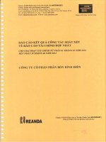 Báo cáo tài chính hợp nhất quý 2 năm 2014 (đã soát xét) - Công ty cổ phần Phân bón Bình Điền