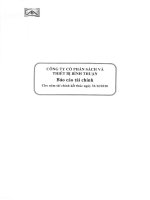 Báo cáo tài chính năm 2010 (đã kiểm toán) - Công ty Cổ phần Sách - Thiết bị Bình Thuận