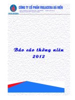 Báo cáo thường niên năm 2012 - Công ty Cổ phần Viglacera Bá Hiến