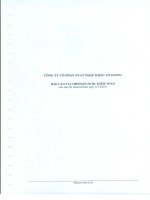 Báo cáo tài chính năm 2011 (đã kiểm toán) - Công ty cổ phần Xuất nhập khẩu An Giang