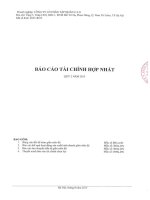 Báo cáo tài chính hợp nhất quý 2 năm 2015 - Công ty Cổ phần Tập đoàn C.E.O