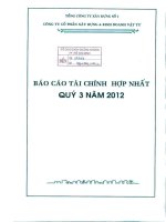 Báo cáo tài chính hợp nhất quý 3 năm 2012 - Công ty Cổ phần Xây dựng và Kinh doanh Vật tư