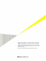 Báo cáo tài chính hợp nhất năm 2009 (đã kiểm toán) - Ngân hàng Thương mại cổ phần Đầu tư và Phát triển Việt Nam