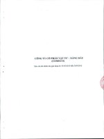 Báo cáo tài chính quý 3 năm 2010 - Công ty Cổ phần Vật tư - Xăng dầu