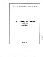 Báo cáo tài chính quý 2 năm 2010 - Công ty Cổ phần COKYVINA