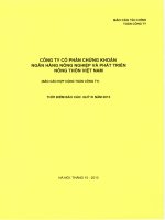 Báo cáo tài chính quý 3 năm 2013 - Công ty Cổ phần Chứng khoán Nông nghiệp và Phát triển Nông thôn