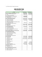 Báo cáo tài chính quý 1 năm 2010 - Công ty Cổ phần Thuốc sát trùng Cần Thơ