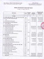 Báo cáo tài chính hợp nhất quý 2 năm 2011 - Công ty Cổ phần Alphanam E&C