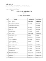 Báo cáo tài chính năm 2009 - Công ty Cổ phần Dịch vụ Bến Thành