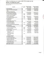 Báo cáo tài chính công ty mẹ quý 1 năm 2016 - Công ty cổ phần Đầu tư và Phát triển Công nghiệp Bảo Thư