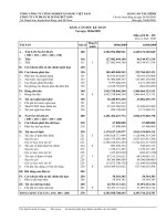 Báo cáo tài chính quý 2 năm 2009 - Công ty cổ phần Xi măng Vicem Bút Sơn