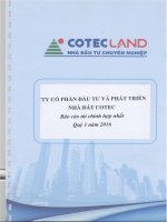 Báo cáo tài chính hợp nhất quý 1 năm 2016 - Công ty Cổ phần Đầu tư và Phát triển Nhà đất COTEC