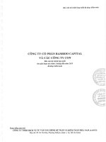 Báo cáo tài chính hợp nhất quý 2 năm 2015 - Công ty cổ phần Bamboo Capital