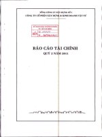 Báo cáo tài chính công ty mẹ quý 2 năm 2011 - Công ty Cổ phần Xây dựng và Kinh doanh Vật tư