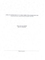 Báo cáo tài chính quý 4 năm 2014 - Công ty cổ phần Đầu tư và Phát triển Công nghiệp Bảo Thư