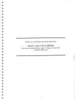 Báo cáo tài chính năm 2011 (đã kiểm toán) - Công ty Cổ phần Xi măng Bỉm Sơn