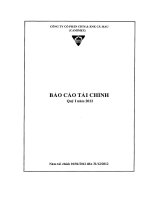 Báo cáo tài chính quý 1 năm 2012 - Công ty Cổ phần Chế biến và Xuất nhập khẩu Thuỷ sản Cà Mau