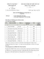 Báo cáo tình hình quản trị công ty - Công ty Cổ phần Tập đoàn Công nghệ CMC