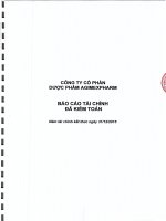 Báo cáo tài chính năm 2015 (đã kiểm toán) - CTCP Dược phẩm Agimexpharm