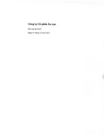 Báo cáo tài chính năm 2015 - CTCP Âu Lạc