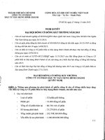 Nghị quyết Đại hội cổ đông bất thường - Công ty Cổ phần Đầu tư Xây dựng Bình Chánh