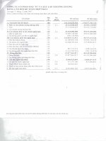 Báo cáo tài chính năm 2007 (đã kiểm toán) - Công ty Cổ phần Chương Dương