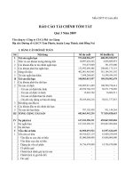 Báo cáo tài chính quý 3 năm 2009 - Công ty Cổ phần Cà phê An Giang