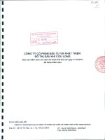 Báo cáo tài chính năm 2011 (đã kiểm toán) - Công ty cổ phần Đầu tư và Phát triển Đô thị Dầu khí Cửu Long