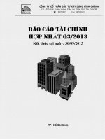 Báo cáo tài chính hợp nhất quý 3 năm 2013 - Công ty Cổ phần Đầu tư Xây dựng Bình Chánh