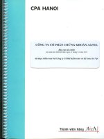 Báo cáo tài chính năm 2012 (đã kiểm toán) - Công ty Cổ phần Chứng khoán ALPHA