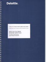 Báo cáo tài chính năm 2010 (đã kiểm toán) - Công ty Cổ phần Chứng khoán Bảo Minh