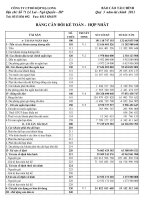 Báo cáo tài chính hợp nhất quý 3 năm 2011 - Công ty Cổ phần Đồ hộp Hạ Long