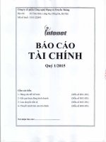 Báo cáo tài chính công ty mẹ quý 1 năm 2015 - Công ty Cổ phần Công nghệ Mạng và Truyền thông