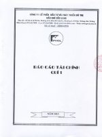 Báo cáo tài chính quý 1 năm 2013 - Công ty cổ phần Đầu tư và Phát triển Đô thị Dầu khí Cửu Long