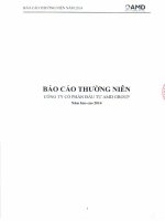 Báo cáo thường niên năm 2014 - Công ty cổ phần Đầu tư AMD Group
