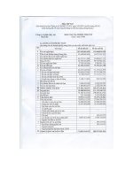 Báo cáo tài chính quý 2 năm 2008 - Công ty Cổ phần Thủy sản Bạc Liêu