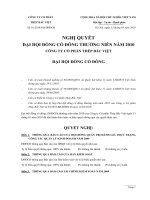 Nghị quyết đại hội cổ đông ngày 13-03-2010 - Công ty Cổ phần Đầu tư BVG