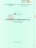 Báo cáo tài chính hợp nhất quý 4 năm 2013 - Công ty Cổ phần Đầu tư Châu Á - Thái Bình Dương