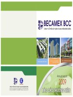 Báo cáo thường niên năm 2009 - Công ty Cổ phần Xây dựng và Giao thông Bình Dương