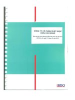 Báo cáo tài chính năm 2010 (đã kiểm toán) - Công ty cổ phần Xuất nhập khẩu An Giang