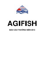 Báo cáo thường niên năm 2013 - Công ty Cổ phần Xuất nhập khẩu Thủy sản An Giang