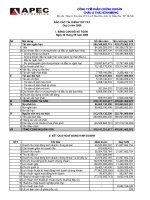 Báo cáo tài chính quý 3 năm 2009 - Công ty Cổ phần Chứng khoán Châu Á – Thái Bình Dương